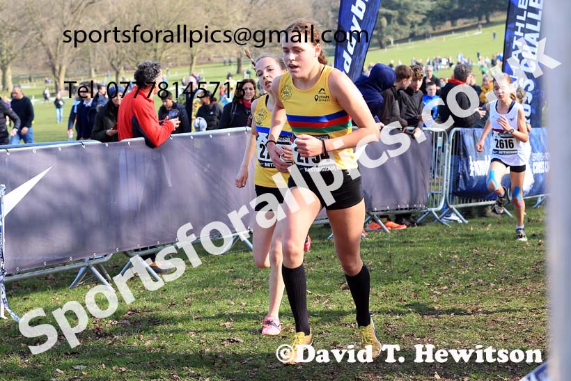 Girls Under-15s, 2024 CAU Inter Counties Cross Country Champs., Wollaton Park, Nottingham. Photo: David T. Hewitson/Sports for All Pics